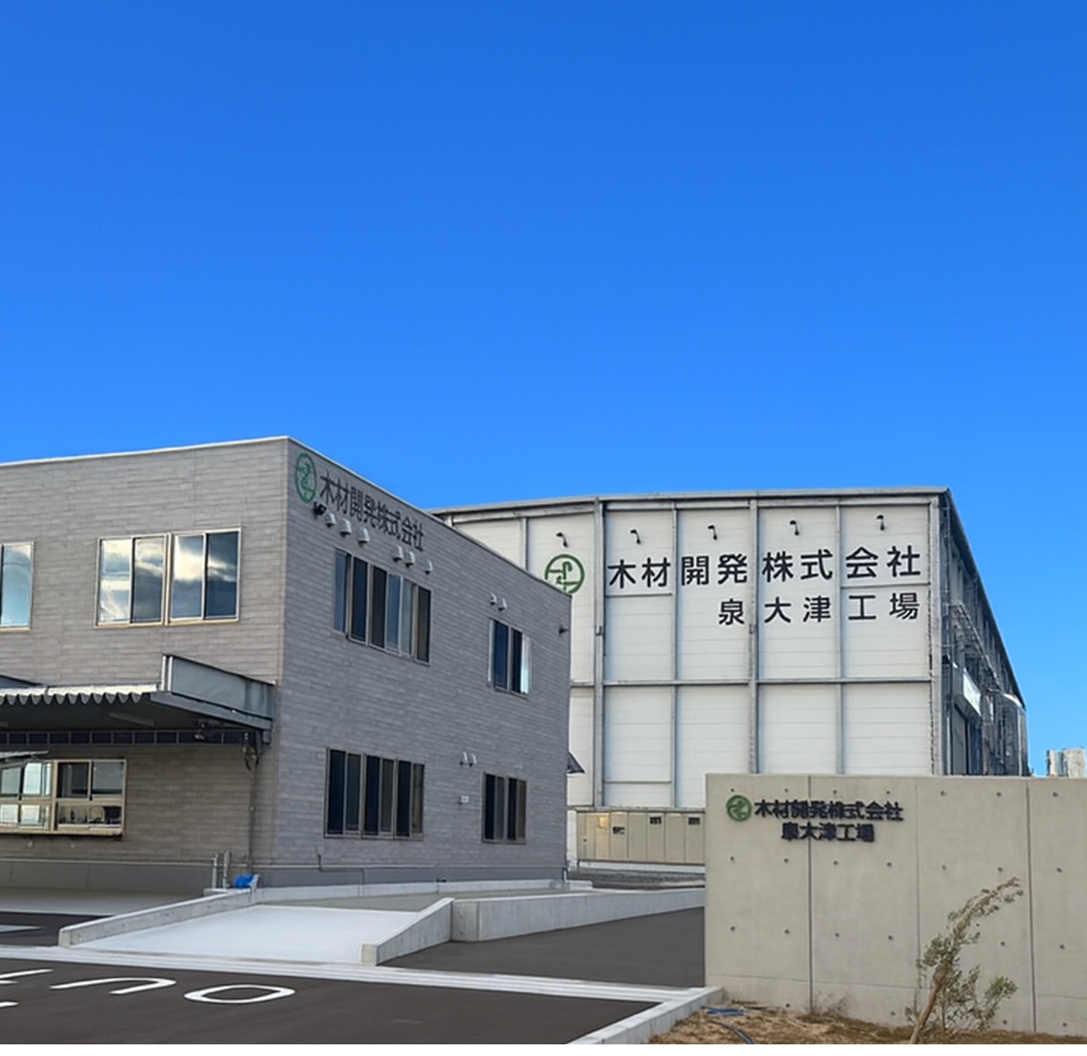 木質廃材リサイクル 大阪泉大津工場